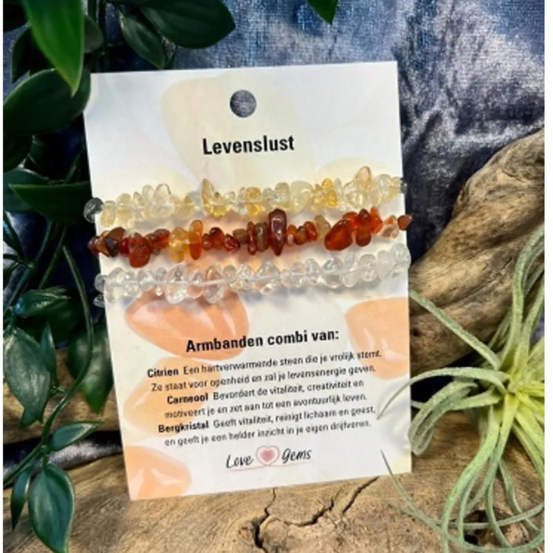 Splitarmband combi Levenslust