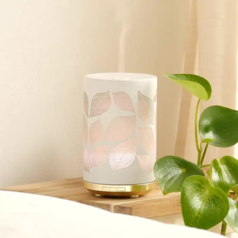 Chi Leaves Aroma Diffuser
[mwwsrc:39c215618aef63c58d4cd331fe58a010b9f26110.jpg]