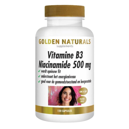 Golden Naturals Vitamine B3 niacinamide (120 vegan caps.)
[mwwsrc:3a10444753eb10d85746d33d3886d3b5354523f9.jpg]