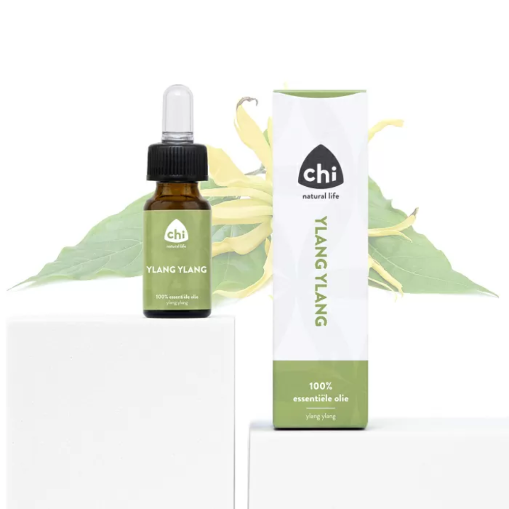 Chi Ylang ylang cultivar (10 ml.)
[mwwsrc:5e208e3a8a84dcb000cc96ac5e36a478f391f22c.png]