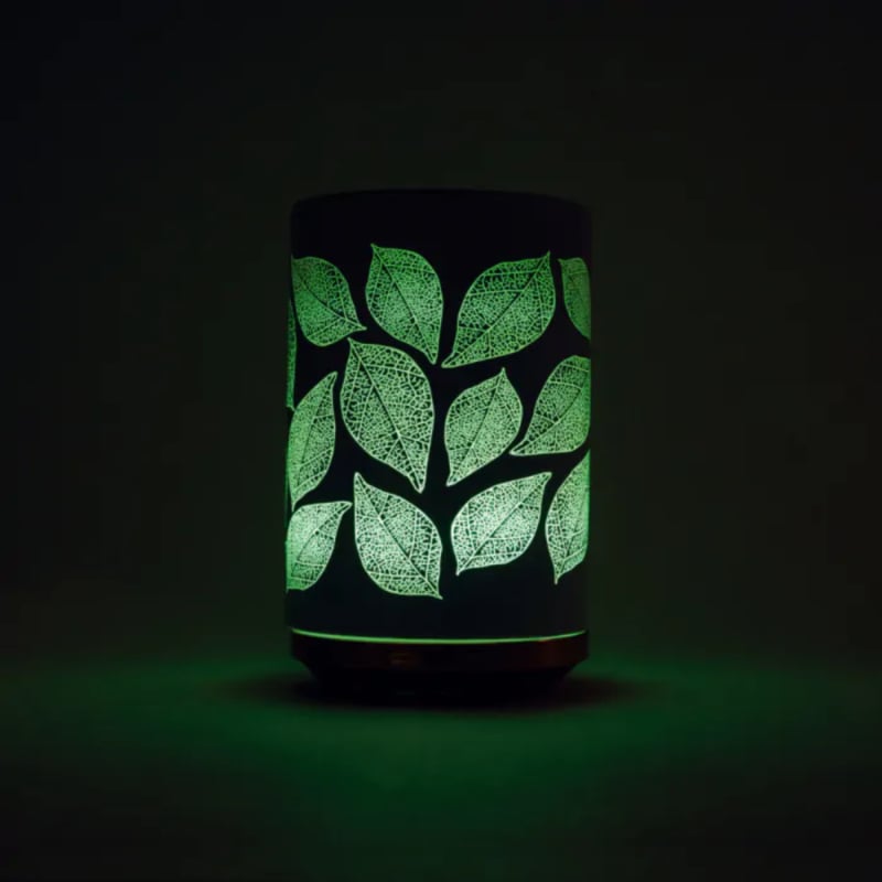 Chi Leaves Aroma Diffuser
[mwwsrc:a392200d0735d24b609905c4f953971736abb657.jpg]