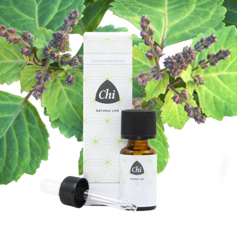 Chi Patchouli Cultivar (10 ml.)
[mwwsrc:e5d1f9898ad7f6d10814c0dc7cb3d39559179d0e.jpg]