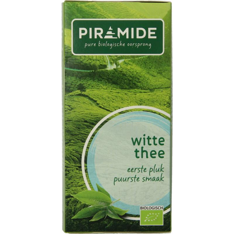 Piramide Witte thee original (20 theezakjes)
